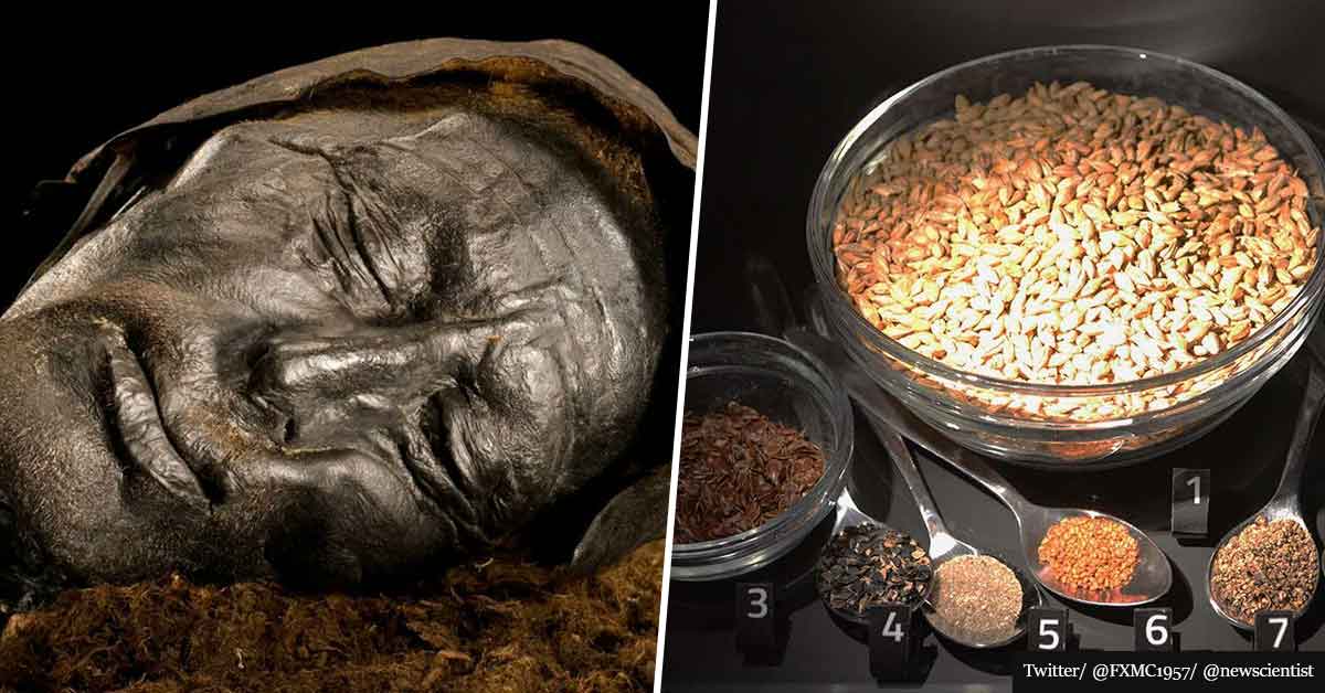 2,400-year-old mummy still contains last meal