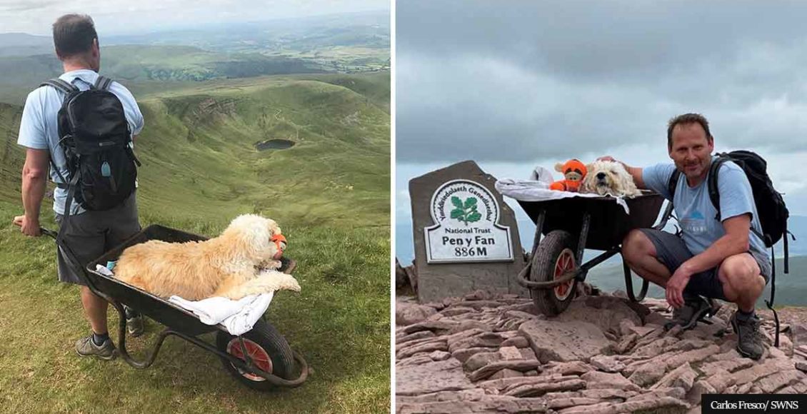 Man takes his dying dog on one LAST walk to his favorite mountain