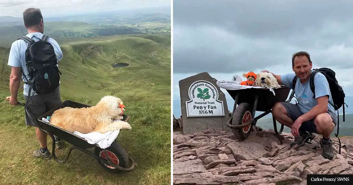 Man takes his dying dog on one LAST walk to his favorite mountain