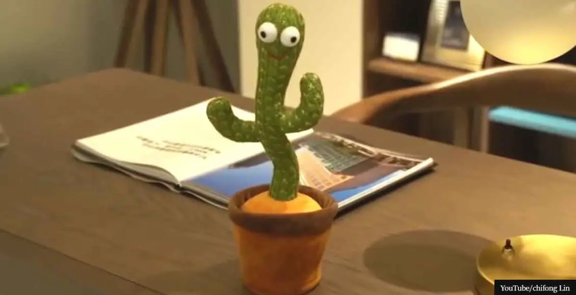 Mom Finds Child’s ‘Dancing Cactus Toy’ Swearing And Rapping About Cocaine and Suicide In Polish