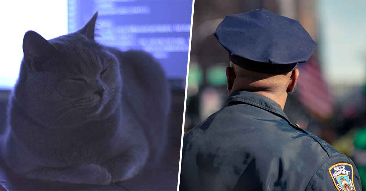 Noise Complaint Leads Police To Find Cat Home Alone Blasting Music
