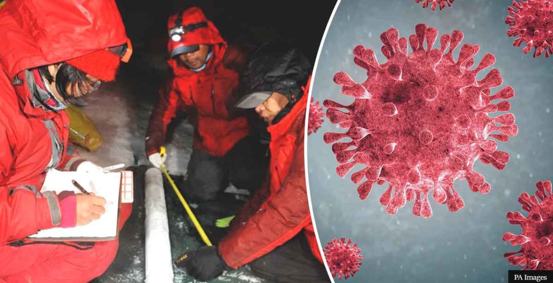 Scientists Discover Almost 30 Unknown Viruses Frozen In Ice