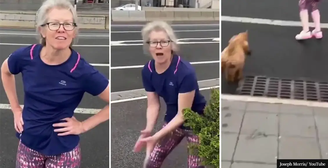 Woman tries to lure dog into traffic on a busy NYC street to teach its owners to put it on leash