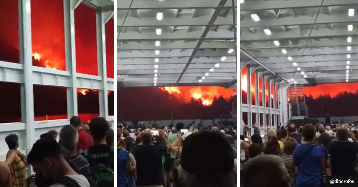 Apocalyptic Footage Of People Fleeing From Greek Wildfires Compared To Disaster Movie