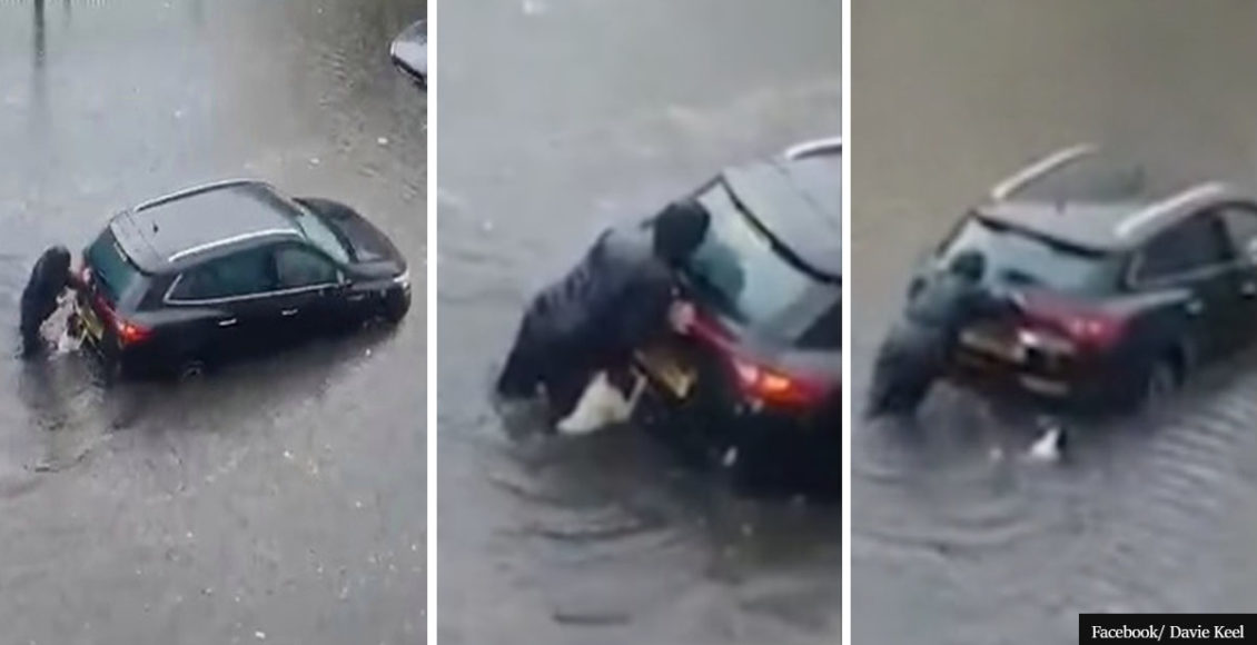 Beautiful Moment Dog Helps Woman Push Car Along Flooded Street As Met Office Issues More Thunderstorm Warnings