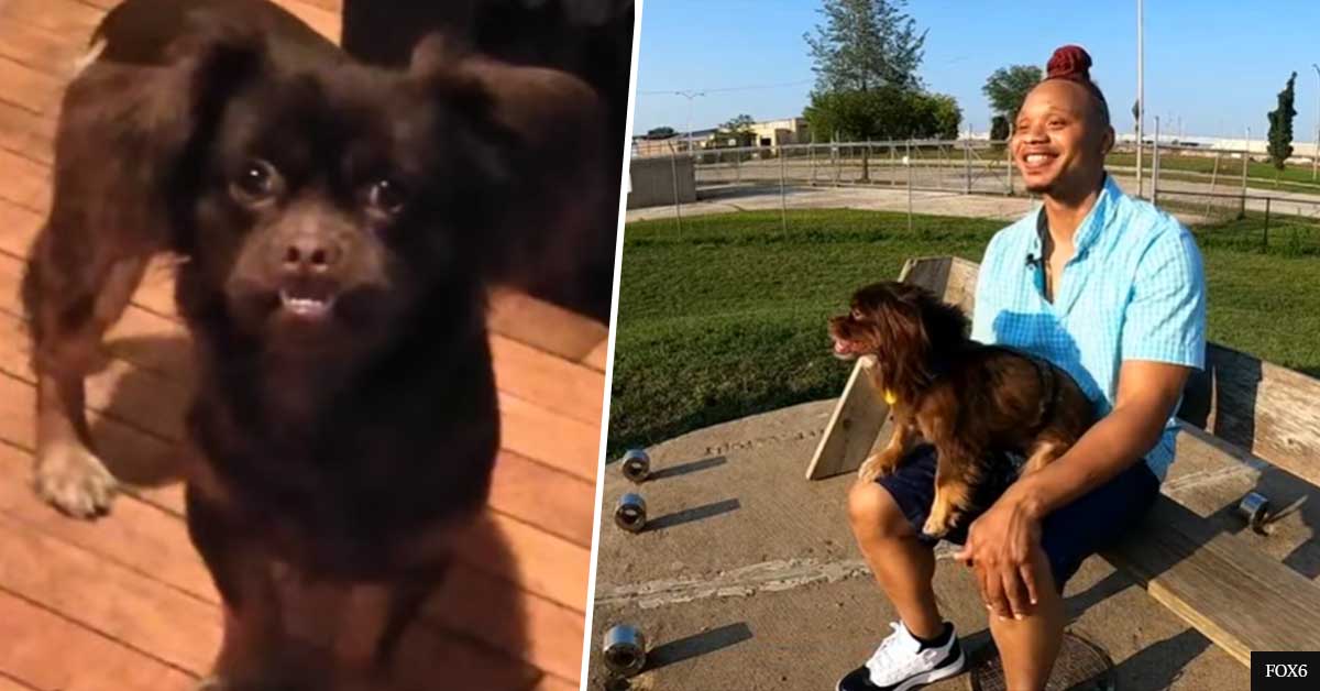 Man reunites with dog missing for 2 years after seeing him on TV