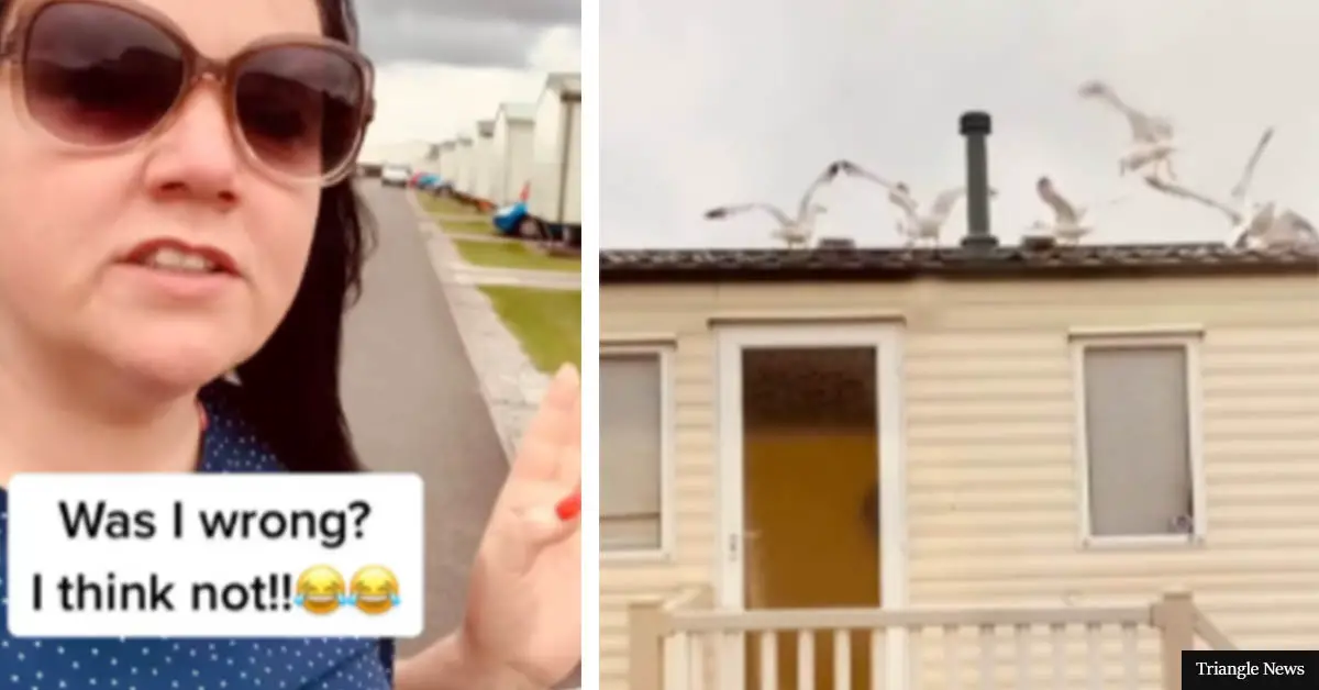 Payback's a b*tch: Mom wakes up noisy neighbors by covering their roof with bread attracting screeching seagulls at 7AM