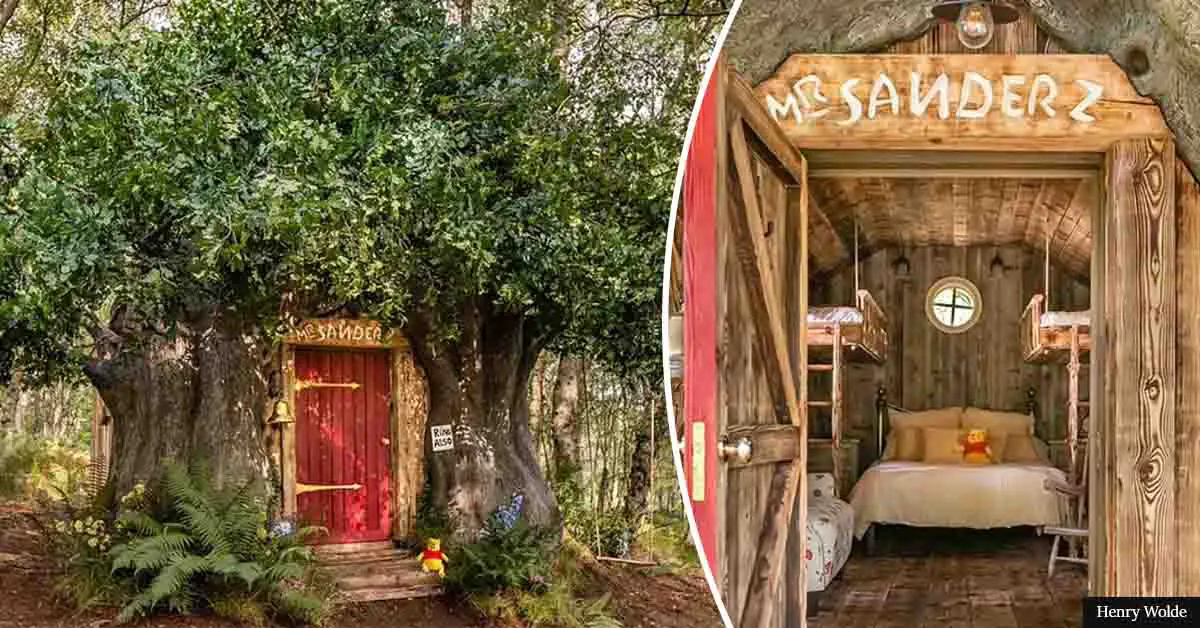 Bearbnb' inspired by the Winnie the Pooh now available for rent