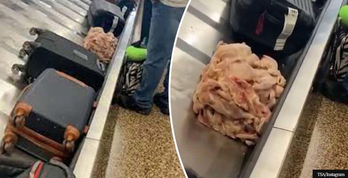 Cube Of Raw Chicken Parts Circulates On Baggage Carousel At Airport, People Left Feeling Nauseous