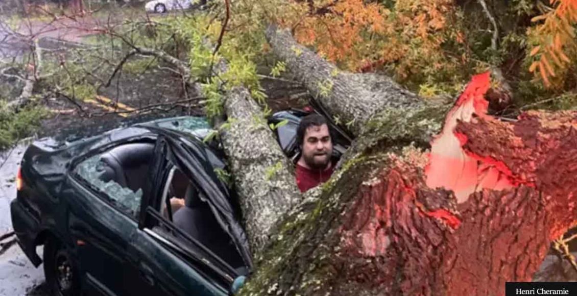 Man Narrowly Escapes Death After Massive Tree Struck By Lightning Falls On His Car
