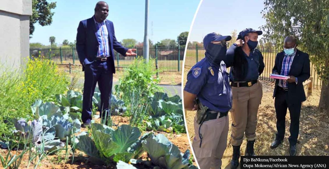 Police allegedly threaten 'Cabbage Bandit' with arrest over planting vegetables on pavement
