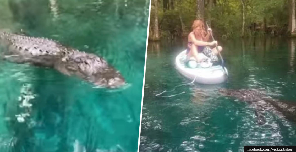 Video shows Florida woman fended off alligator while paddleboarding