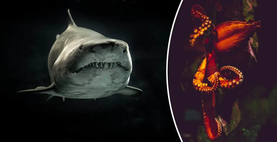 Deep-sea nightmares: Eerie ocean stories that will creep you out