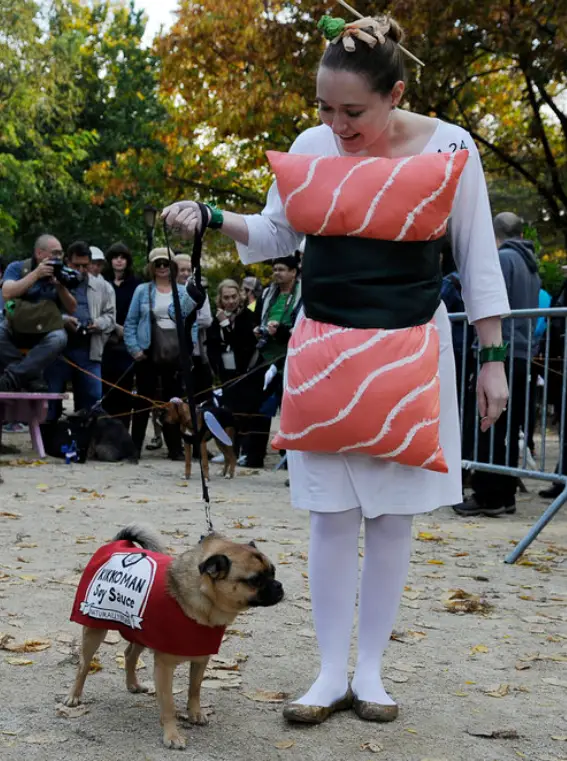 New York's Annual Halloween Dog Parade shows the most adorable dog ...