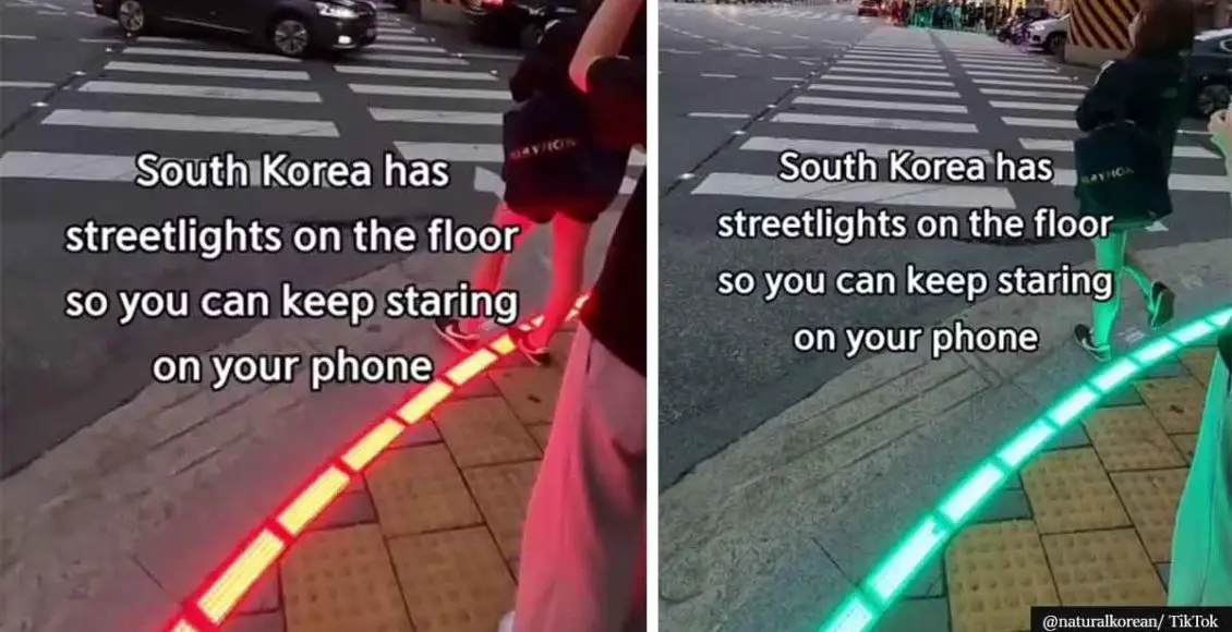 South Korea has street lights on the GROUND so you can keep staring at your phone - genius idea or enabling a dangerous addiction?
