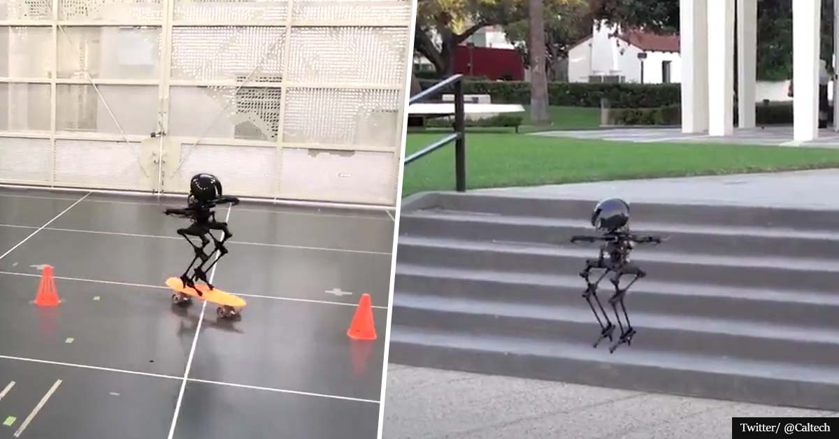 Video shows new robot's skills to skateboard, slackline, and FLY