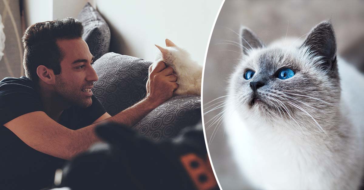 Man Reveals He Swapped His Wife’s Cat 6 Years Ago And She Never Found Out