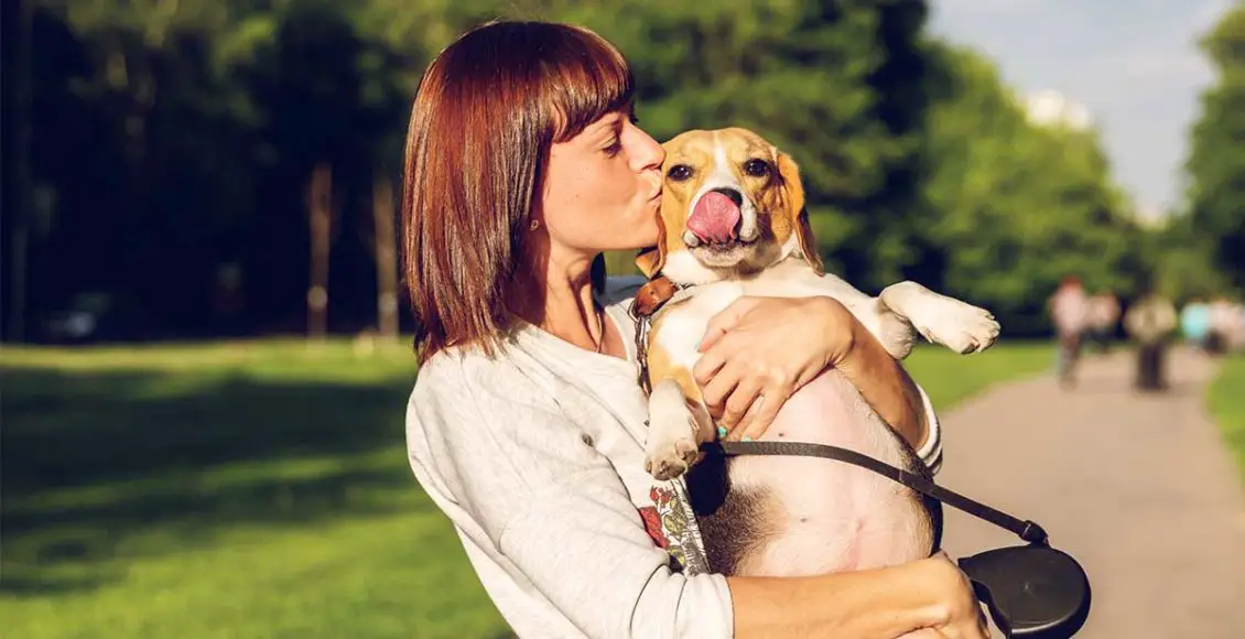 Why having a dog helps you as an Introvert